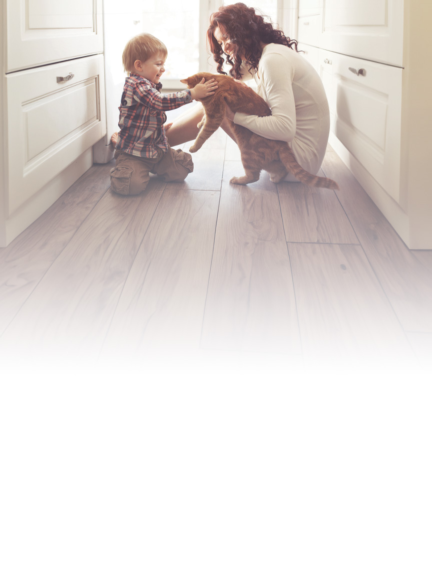 Dog chewing on tennis ball on white tile by Flooring America